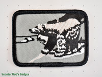 Click to enlarge Polar Bear